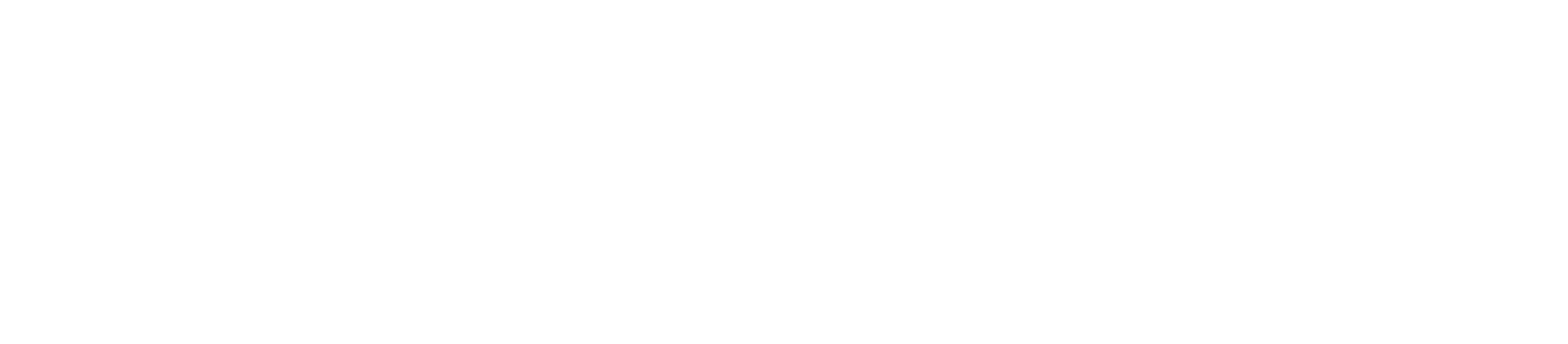 ACE² European University